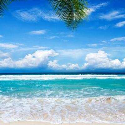 海底大作战内购破解版下载