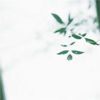 宝宝游戏捉迷藏游戏下载